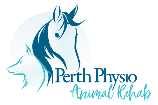Perth Physio Animal Rehab